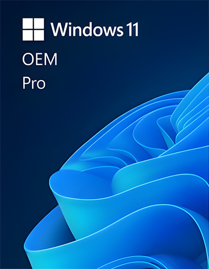 Windows 11 Pro OEM